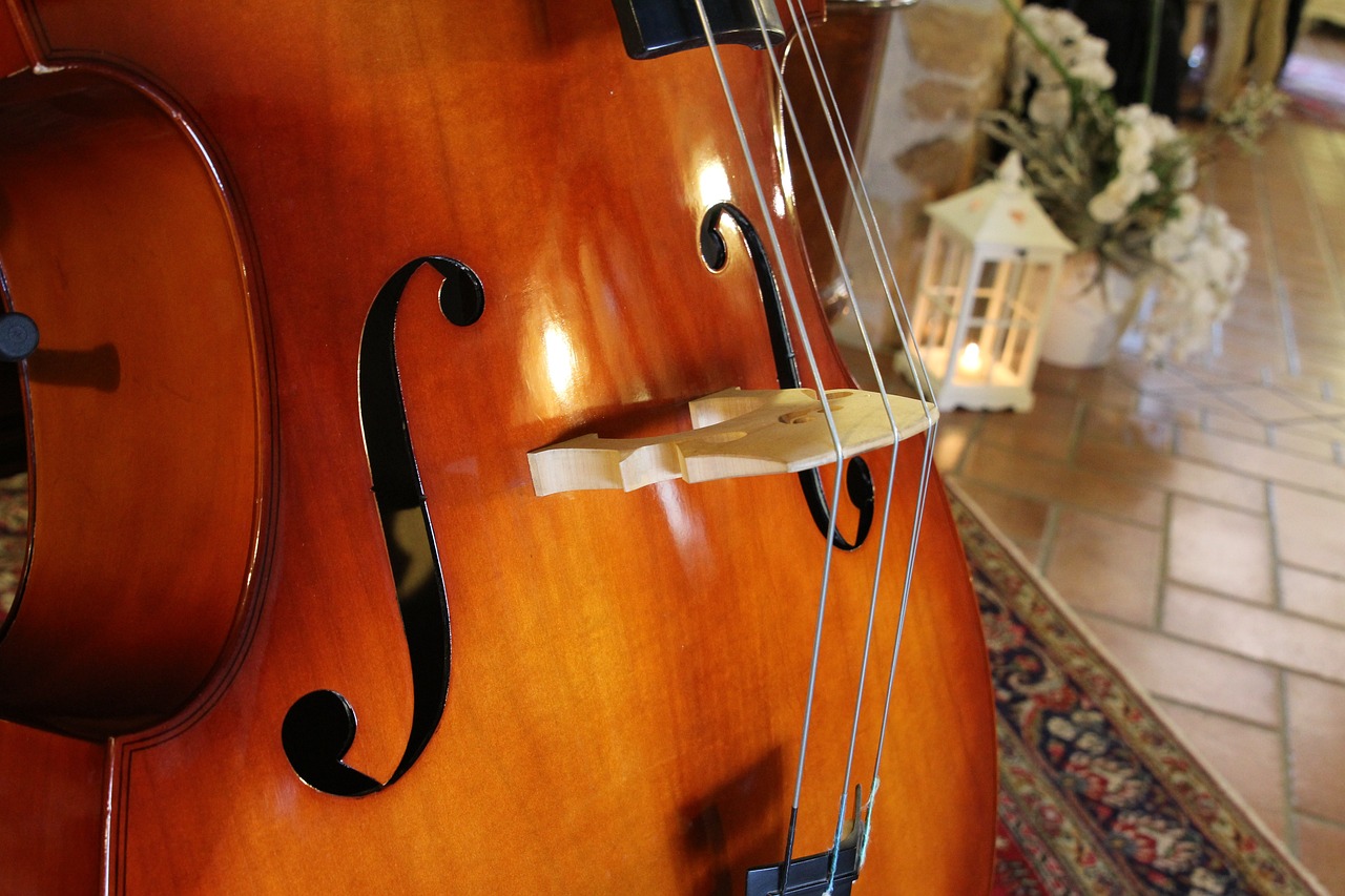 double bass 1140040 1280